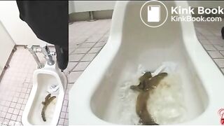 This is what you call a snake turd