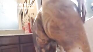 Sexy American Girl Diarrhea