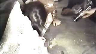 RARE - Scat japonese girl face