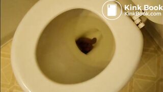 Girls pooping on toilet and napkin