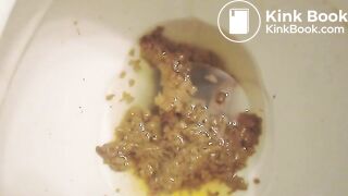 Gingerly Toliet Dump