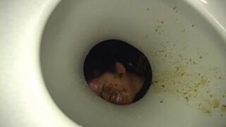 scat 553scat 553scat 553scat 553