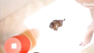 Babe playing with scat