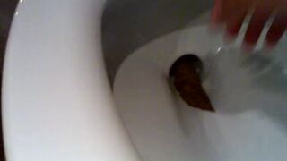a toilet turd