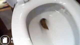 a toilet turd