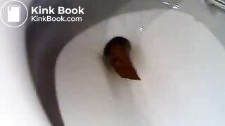 a toilet turd