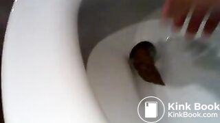 a toilet turd