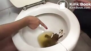 Toilet poop with good view