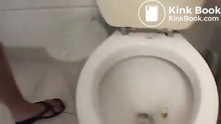 Toilet poop with good view