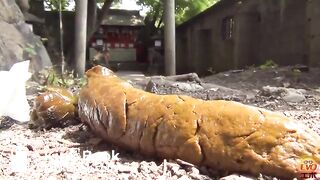 japanese scat - video 28