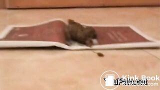 Pervert Girl Shitting on Magazine