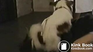 Japanese poop lesbians