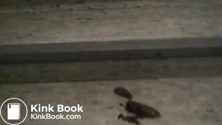 Junge Frau kackt ins Treppenhaus