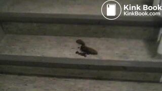 Junge Frau kackt ins Treppenhaus