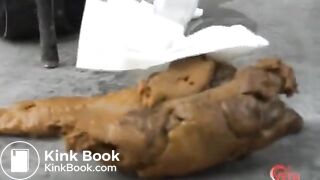 japanese girl outdoor scat01