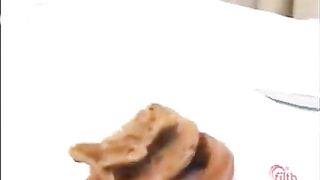 Shit collection what to feed your bitch 6