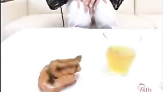 Shit collection what to feed your bitch 6