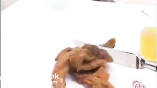 Shit collection what to feed your bitch 6