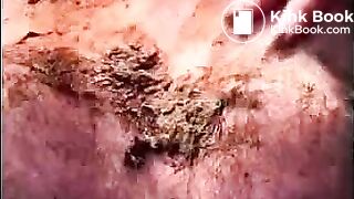 Vintage scat - video 7