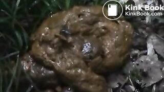 Japanese girl poops outdoors