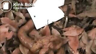 Japanese girl poops outdoors