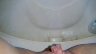 amateur 2 poop 4