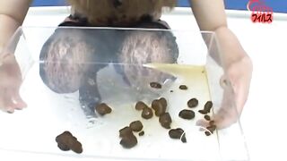 Sorry, that's all I have, dear!