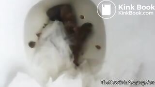 Toilet Shit #1 *No Sound...Again*