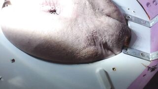 dumping metal baslls