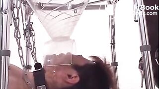 Insane compilation of Japanese femdom