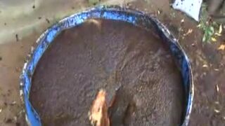 Frau wird ins Güllefass geworfen