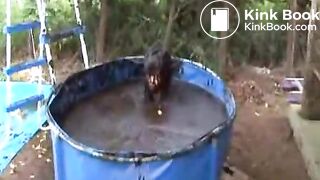 Frau wird ins Güllefass geworfen