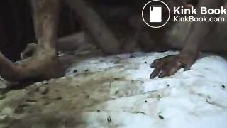 honey bee getting fucked