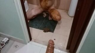 Schön mit Scheiße eingeschmiert - die kleinen Titten, die Muschi...