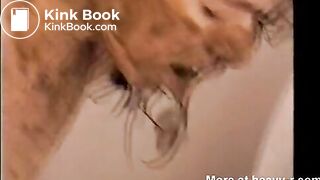 THE WOMAN I WANT TO MARRY TOILET SHERRY