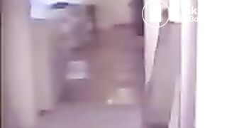 CLASSIC - Walking Toilet Bowl 2