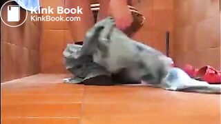 Ferkeline Scheisse 1