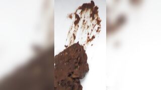 Backwards Toliet Dump