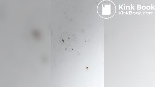 Backwards Toliet Dump