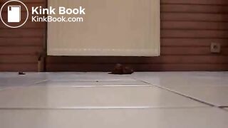 Chick standing up poop running down her legs