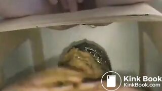 Shit collection extreme shits