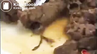 Shit collection what feed your bitch 3