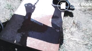 Shit, flies and dirty shoes