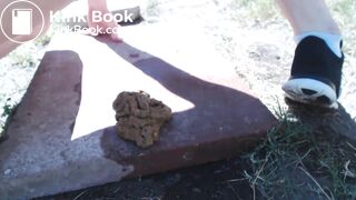 Shit, flies and dirty shoes