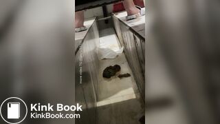 Beautiful woman poops in the toilet 2