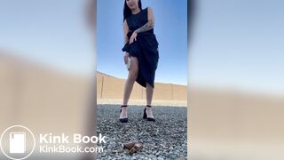 Beautiful brunette with a hairy pussy takes a shit in t