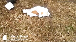 OUTDOOR DIARRHEA