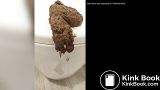 Huge Urgent poop on toilet lid