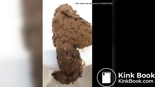 Huge Urgent poop on toilet lid