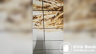 Public bathroom scat vandalism